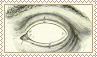 empty eye