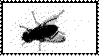 fly