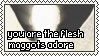 you are the flesh maggots adore