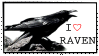 i love ravens