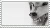 wolf snarl