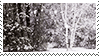 snowing