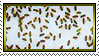 sprinkles