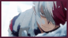 todoroki