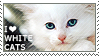 white cats