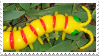 toy centipede