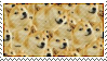 doges