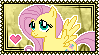 fluttershy