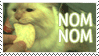 nom nom cat