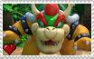 rpg bowser
