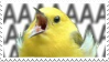 bird scream