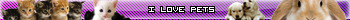 i love pets
