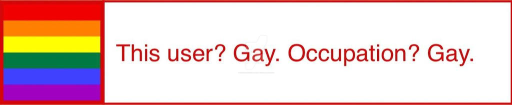 this user? gay. occupation? gay.