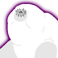 icon-tardigrade.png