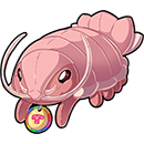 silly little isopod!!