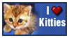 i love kitties