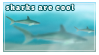 a stamp of a shark with the text sharks are cool over it