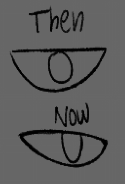 am%20eyes1.png