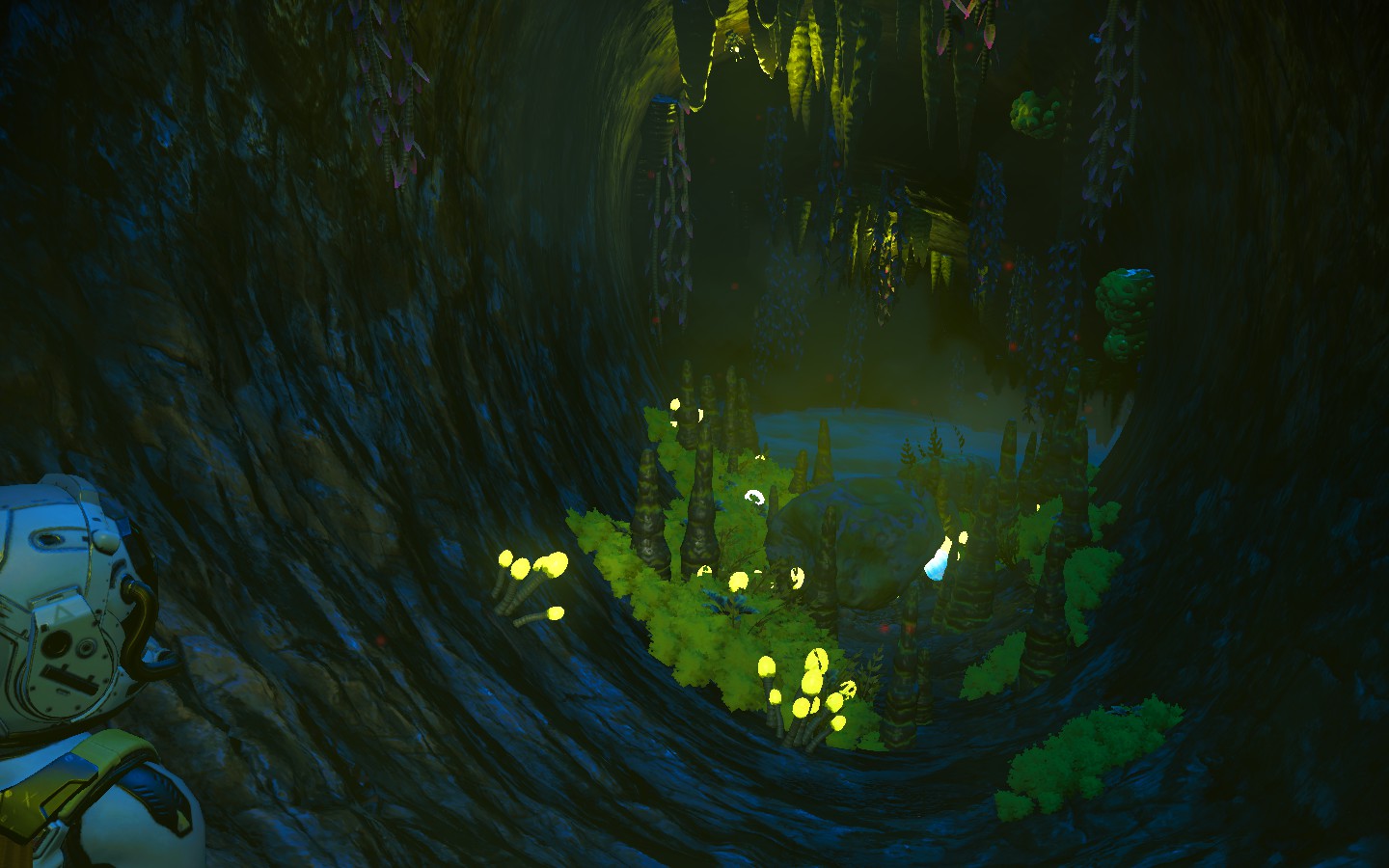 ingame screenshot, a cave illuminated by bioluminescent fungi