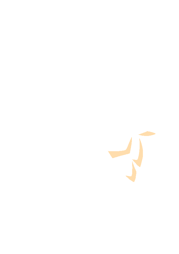 capetopbird.png
