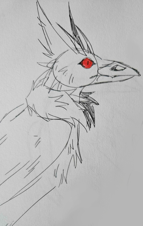 a sketch in pen of Myrith who is a crow-like bird with long sharp ears and two horns on her head that curve back. She is turned in profile and her one visible eye is colored in with red.