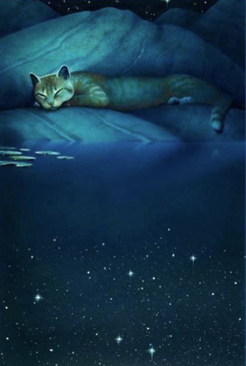 A painting of a cat laying down next to a pool of water. The stars in the sky are reflected in the pool