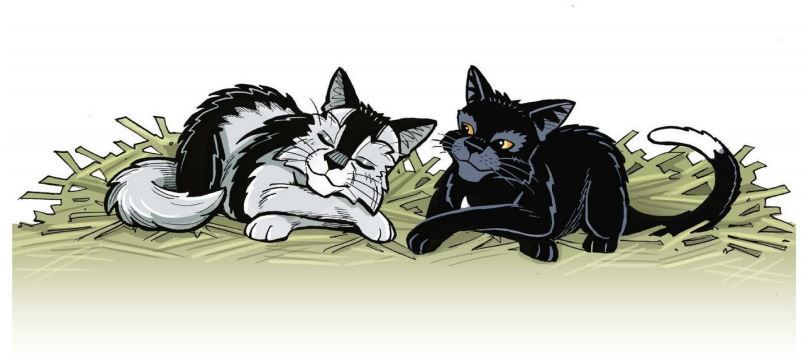 A drawing of two cats laying next to each other. One cat is mostly white with black patches and the other cat is mostly black with a white spot on his chest and white on the tip of his tail.
