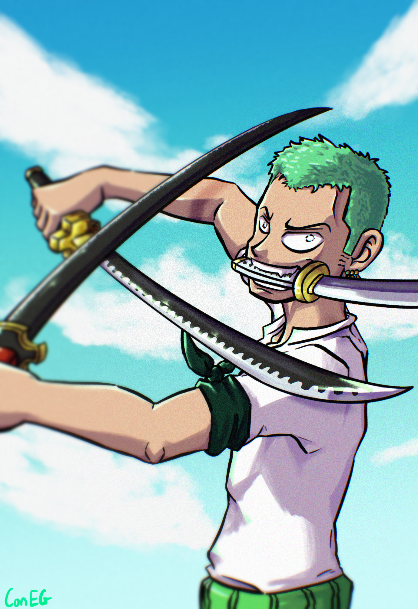 Zoro holding sword PNG Image