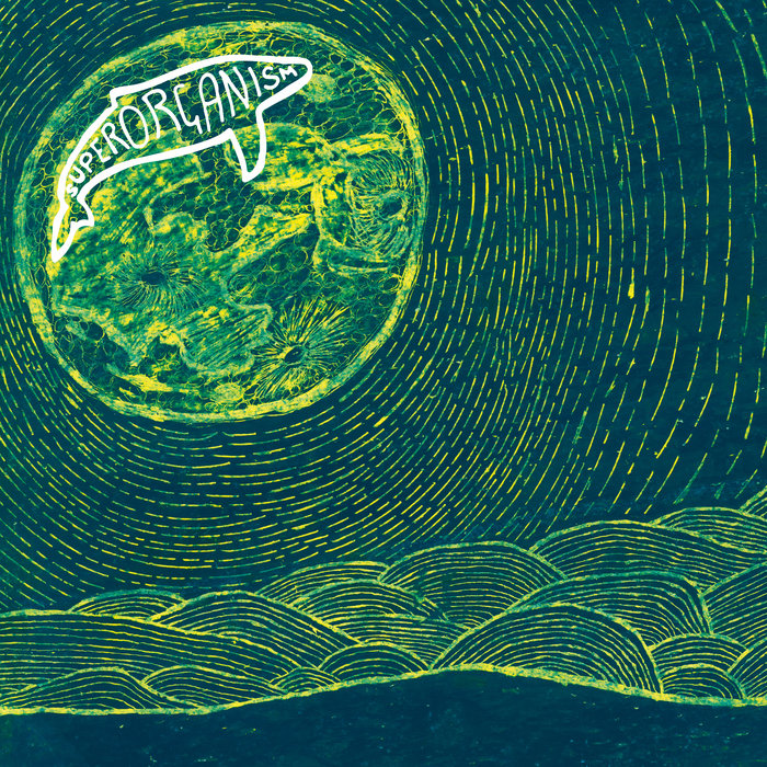 THE ALBUM COVER OF SUPERORGANISM BY SUPERORGANISM.