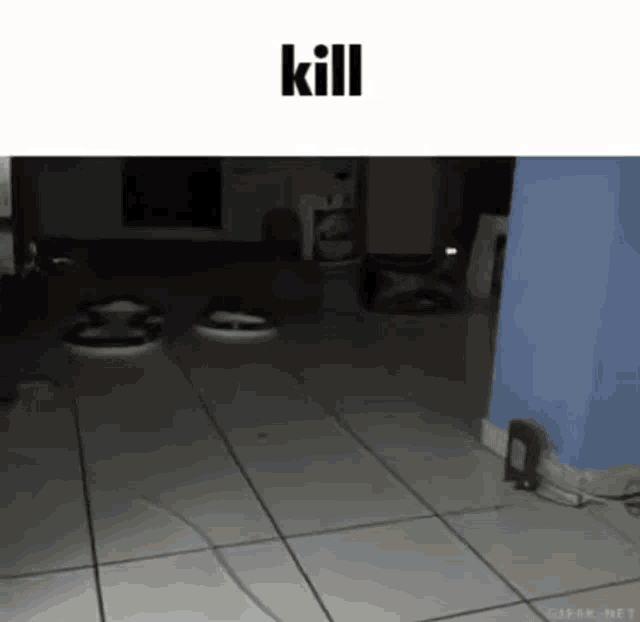A GIF OF A CAT LUNGING AT THE CAMERA CAPTIONED 'KILL!'.
