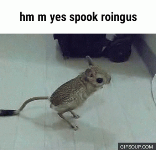 A GIF OF A JERBOA JUMPING AWAY CAPTIONED 'HM YES SPOOK ROINGUS'.