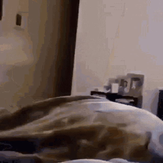 A GIF OF A DOG RUNNING AROUND EXCITEDLY.