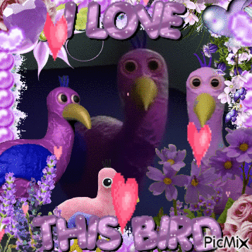 A GLITTERY, PURPLE AND PINK PICMIX GIF OF OPILA BIRD FROM GARTEN OF BANBAN. IT'S CAPTIONED 'I LOVE THIS BIRD.