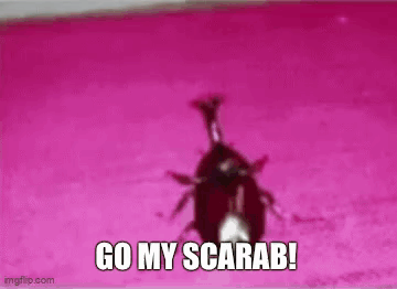 A GIF OF A WINGED BEETLE FLYING FORWARD AND THEN CIRCLING BACK AROUND TOWARD THE CAMERA CAPTIONED 'GO MY SCARAB'.