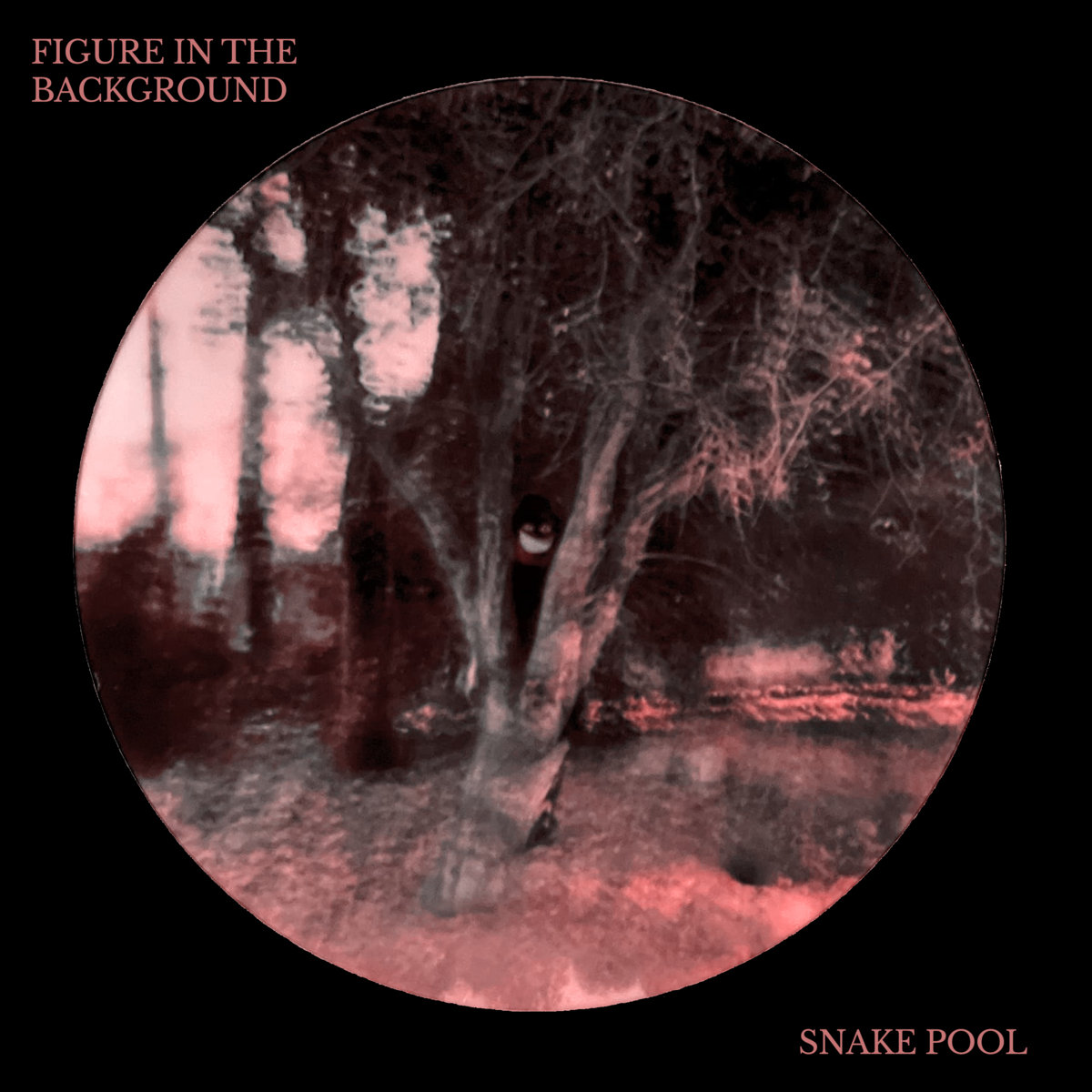 THE ALBUM COVER OF FIGURE IN THE BACKGROUND BY SNAKEPOOL.