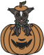 A chocolate mink cat in a pumpkin, with a pumpkin lid hat and a catmint garland. They look happy.