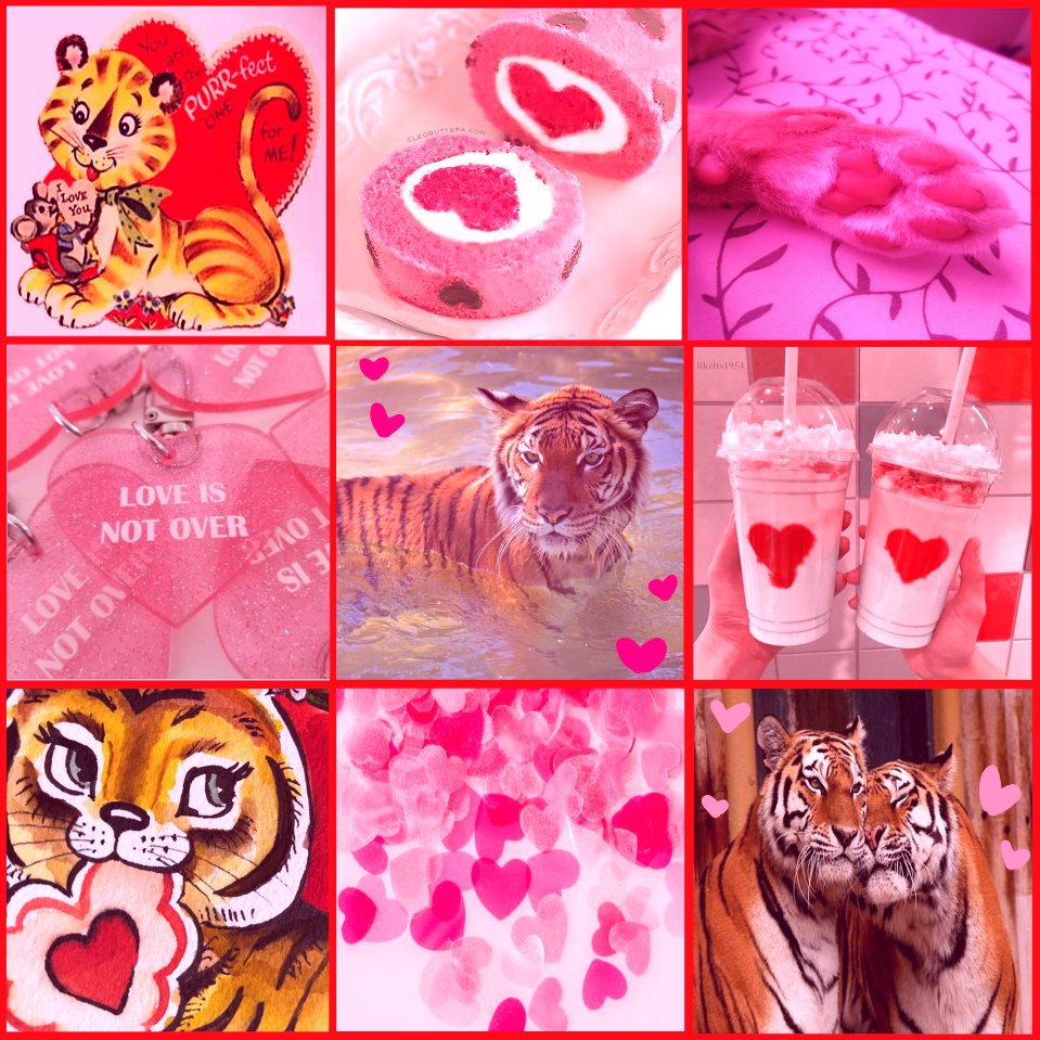 tumblr_8ecd274b476db9c72c4899393bb286e5_