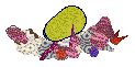 [Image: cancridrinkyb.png]