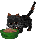 [Image: damienbowlss.png]