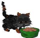 [Image: damiendinnershs.png]