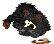 [Image: damienmuchflansd.png]