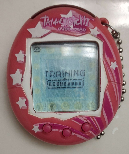 [Image: pippatraining.png]