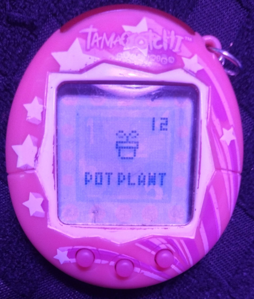 [Image: potplant.png]
