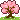 cherry blossom tree