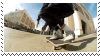 gif by mostlyskateboarding on tumblr and stamp by sillystamped on tumblr - credit both if using!