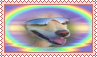 rainbow dog with sunglasses