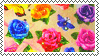 rainbow roses