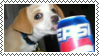 dog drinking pepsi