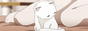 White Cat