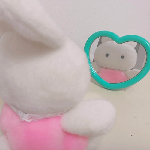 Plush bunny looking in mirror